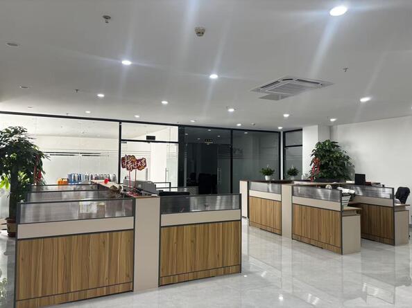Masing Motor (Shenzhen) Co., Ltd