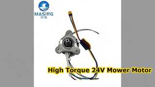 High Torque 24V Brushless Motor for Lawn Mower Robots