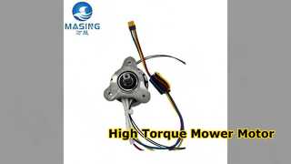 High Torque Brushless Motor for Mowing Robots 200W