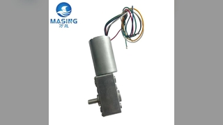 ওয়ার্ম গিয়ার মোটর