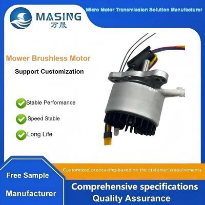 Harga yang bagus High Power High Torque DC24v 200w 3800rpm 6000rpm Mower Brushless Motor untuk robot pemotong on line